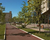 Фоновое изображение