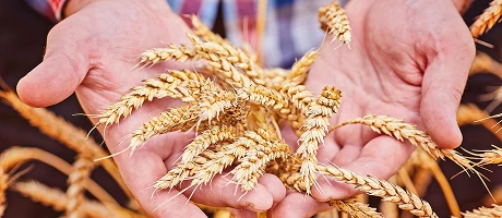 Фоновое изображение